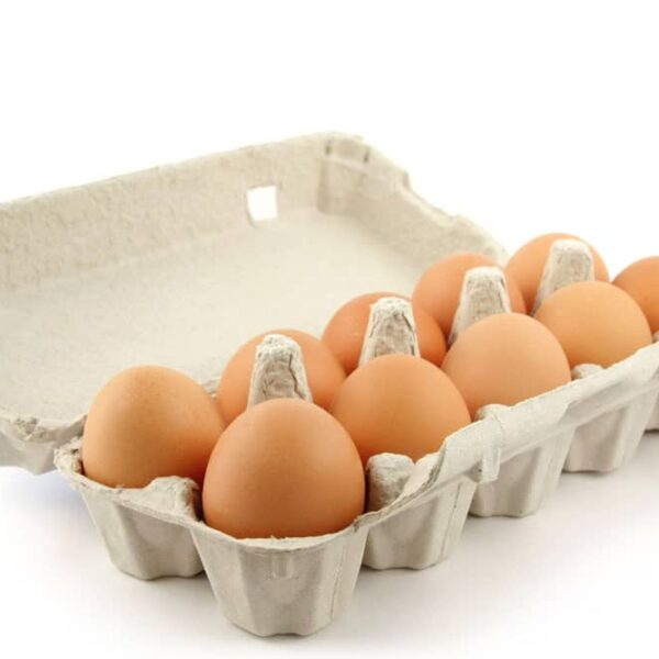 Egg Carton