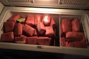 Freezer of Beef